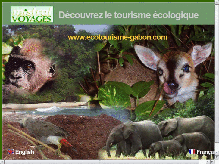 www.voyages-gabon.com