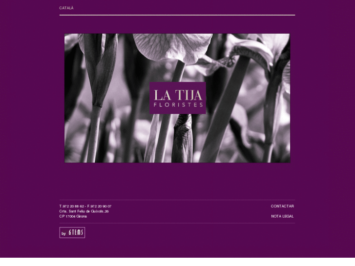 www.latija.com