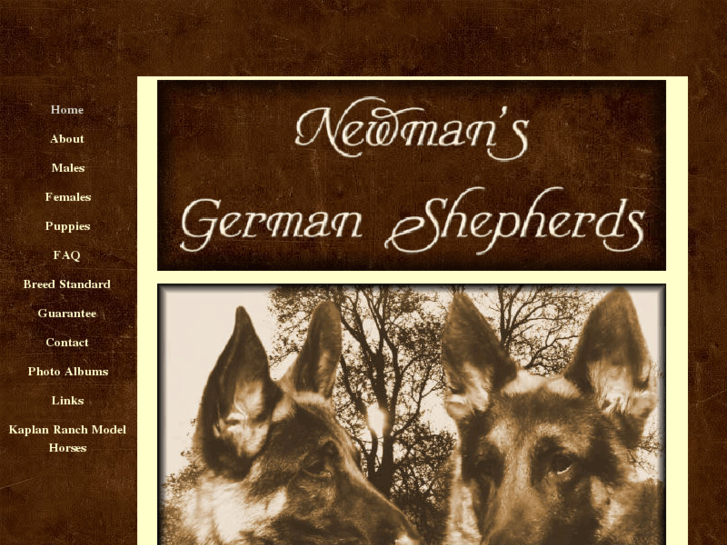 www.newmansgermanshepherds.com