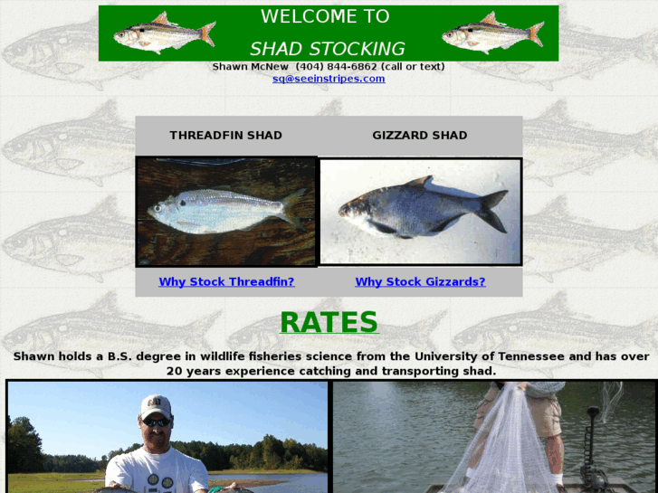 www.shadstocking.com