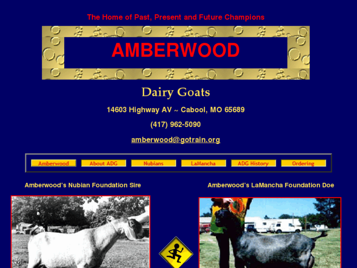 www.amberwooddairygoats.com