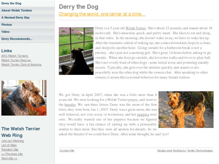 www.derrythedog.com