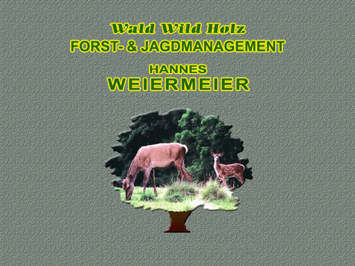 www.wald-wild-holz.com