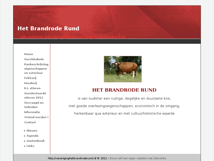 www.brandrood.com