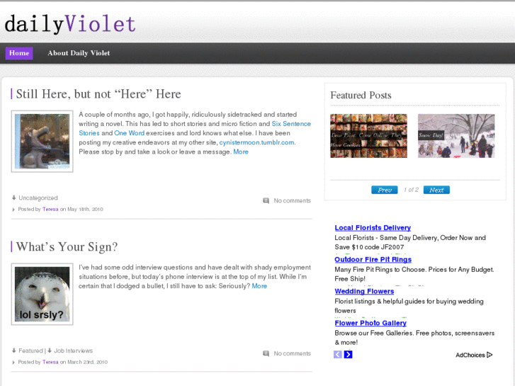 www.dailyviolet.com