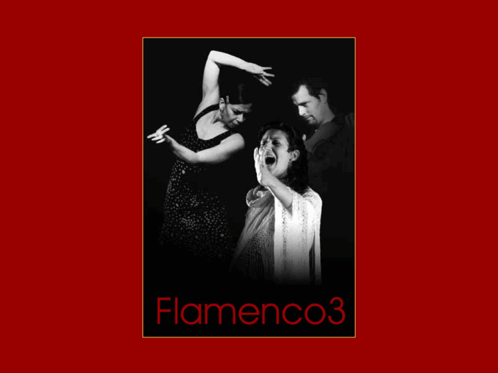 www.flamenco3.com