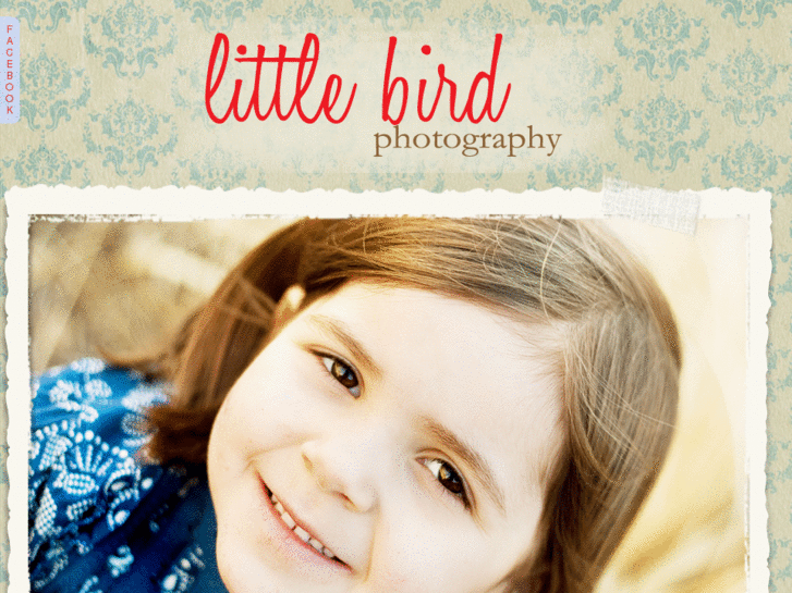 www.littlebirdphotographyonline.com