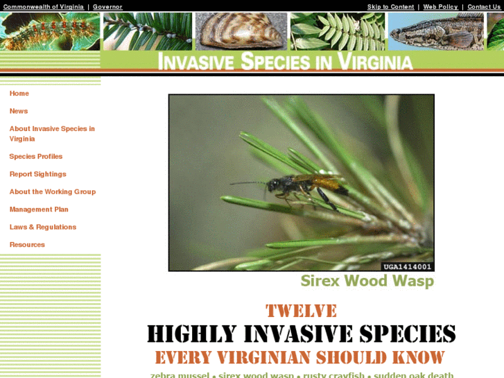 www.vainvasivespecies.com