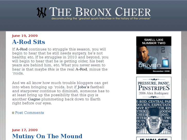 www.bronxcheer.org