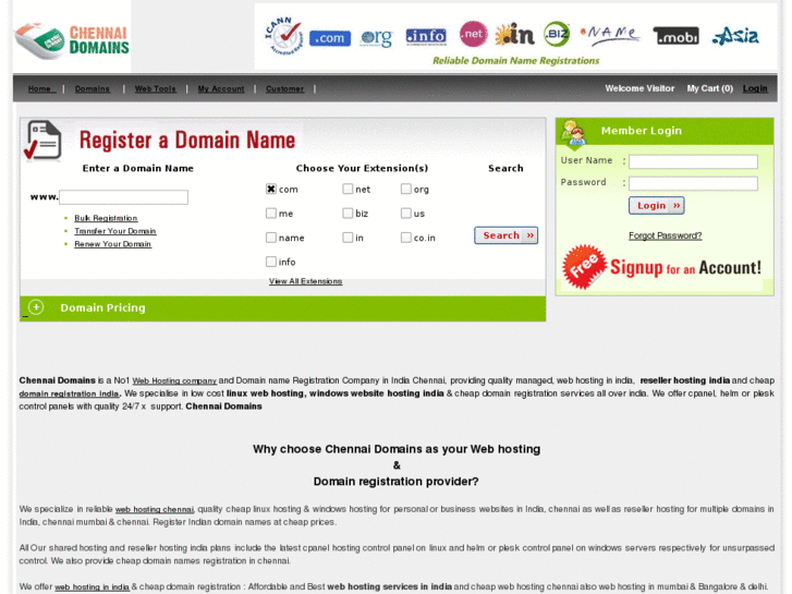 www.chennaidomains.com
