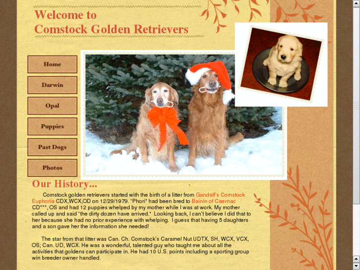 www.comstockgoldens.com