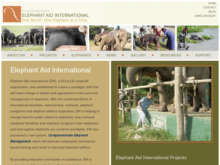 www.elephantaidinternational.org