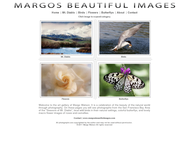 www.margosbeautifulimages.com