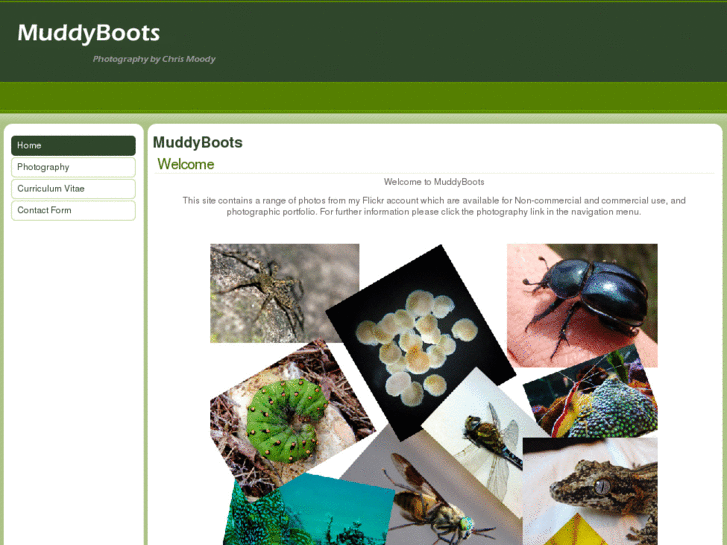 www.muddyboots.co