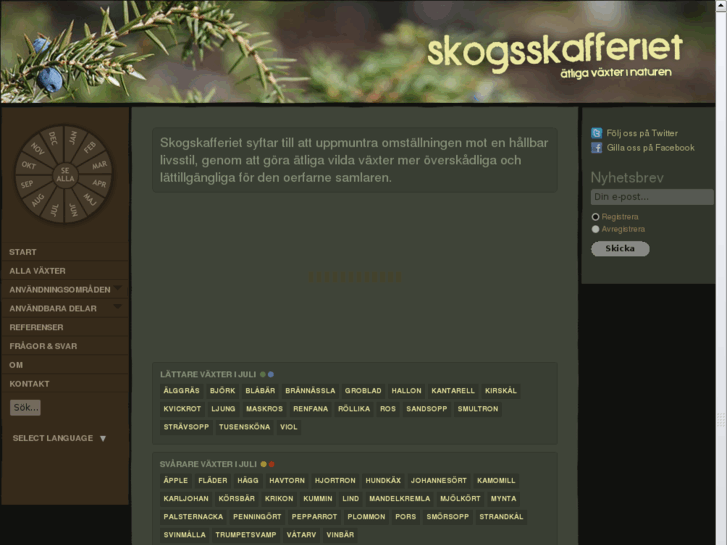 www.skogsskafferiet.se