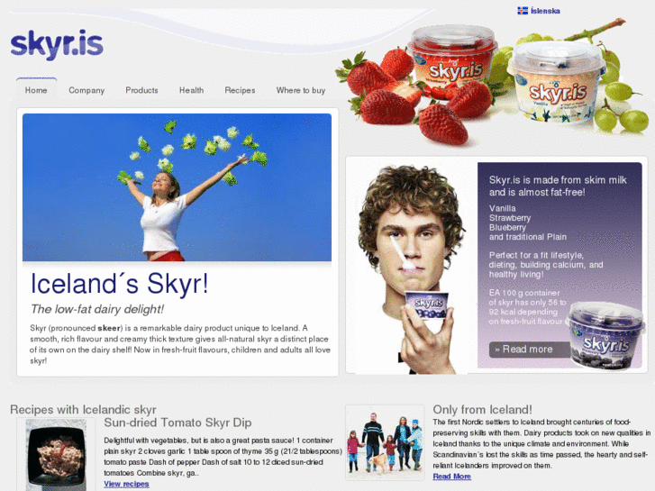 www.skyr.is