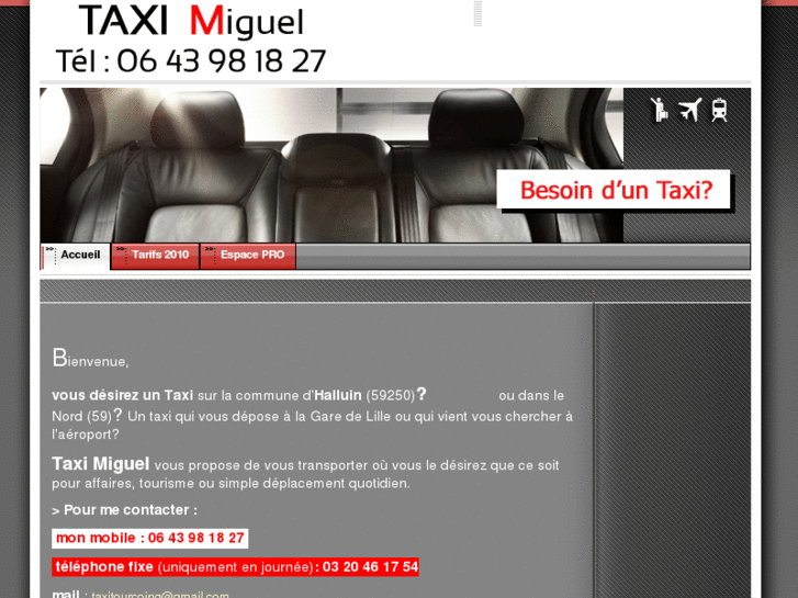 www.taxihalluin.com