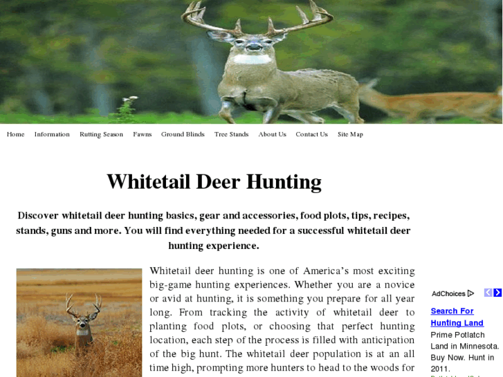 www.thewhitetailhunt.com