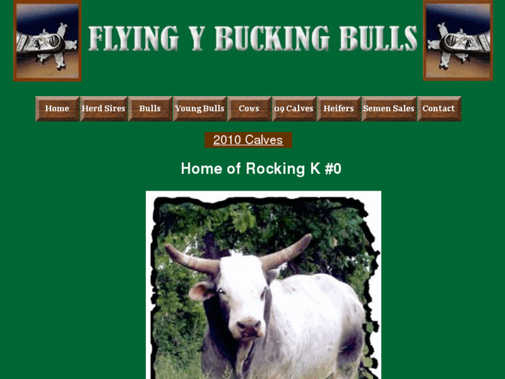 www.flyingybuckingbulls.com