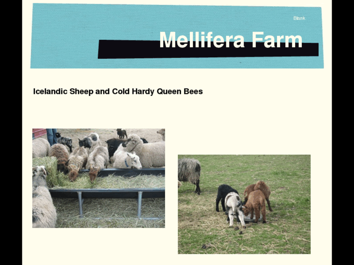 www.melliferafarm.com