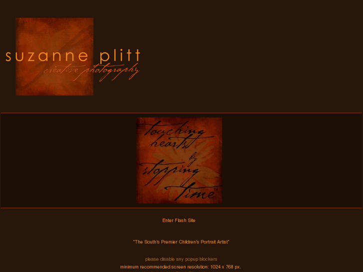 www.suzanneplitt.com