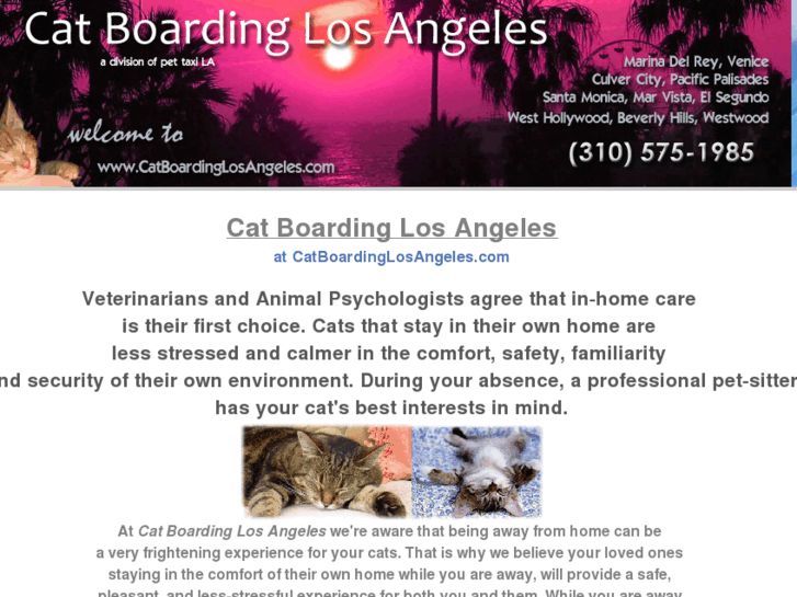 www.catboardinglosangeles.com