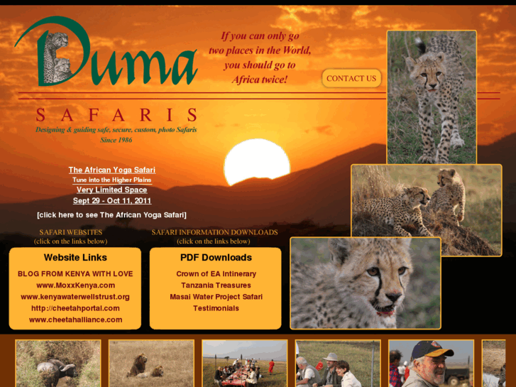 www.dumaafricansafaris.com