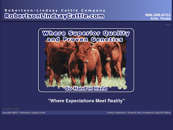 www.robertsonlindsaycattle.com