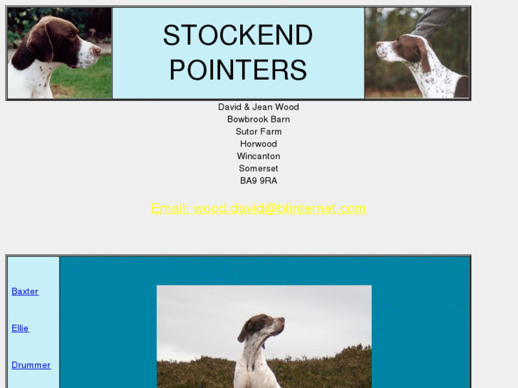 www.stockend.co.uk