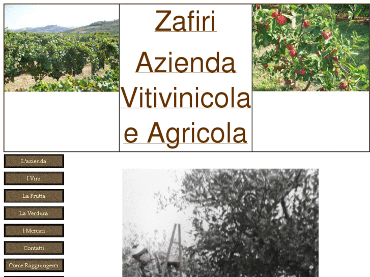 www.zafirivini.com