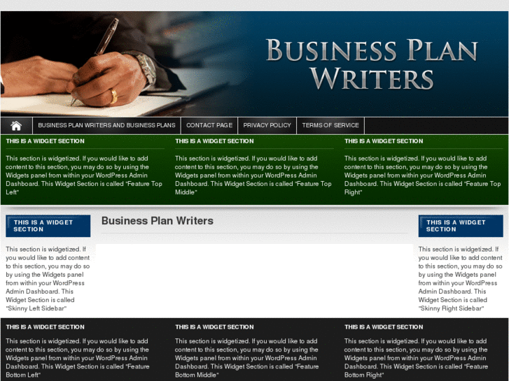 www.business-plan-writers.com