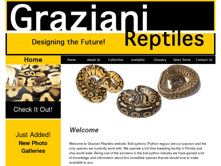 www.grazianireptiles.com