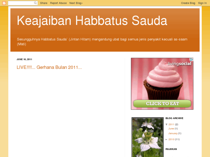 www.habbatus-sauda.com