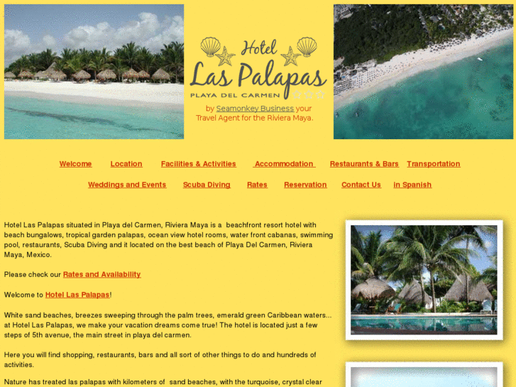 www.hotellaspalapas.com