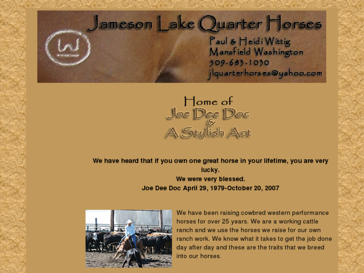 www.jamesonlakequarterhorses.com