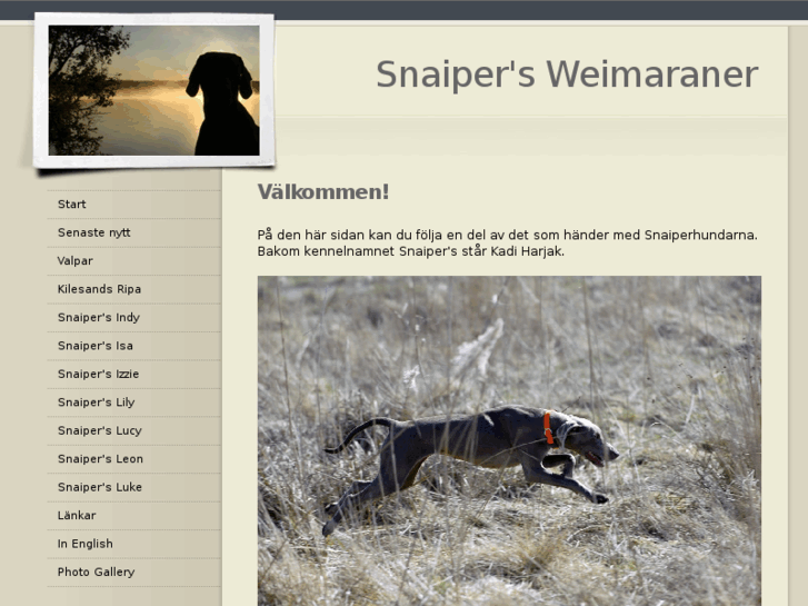 www.snaiperdogs.com