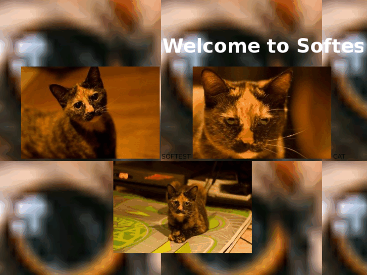 www.softestcat.com