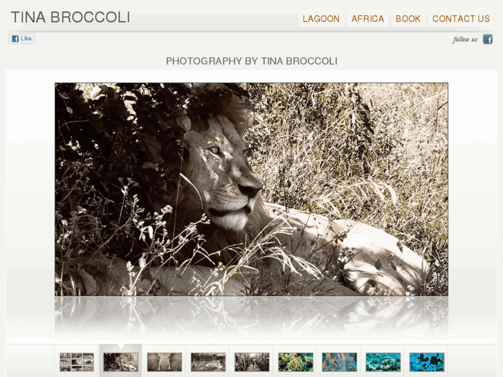 www.tinabroccoli.com