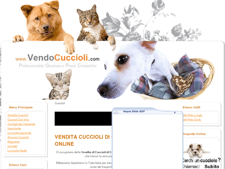 www.vendocuccioli.com