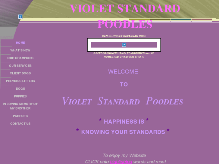 www.violetstandardpoodles.com