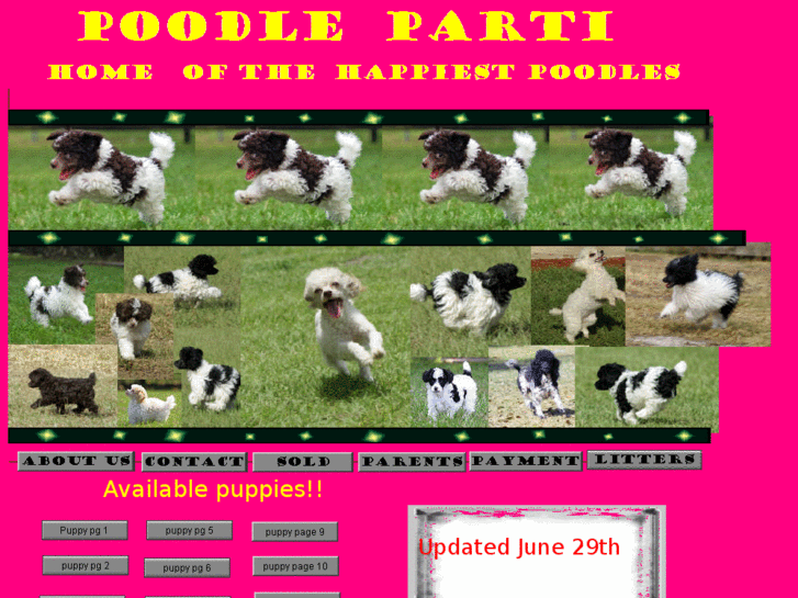 www.poodleparti.net