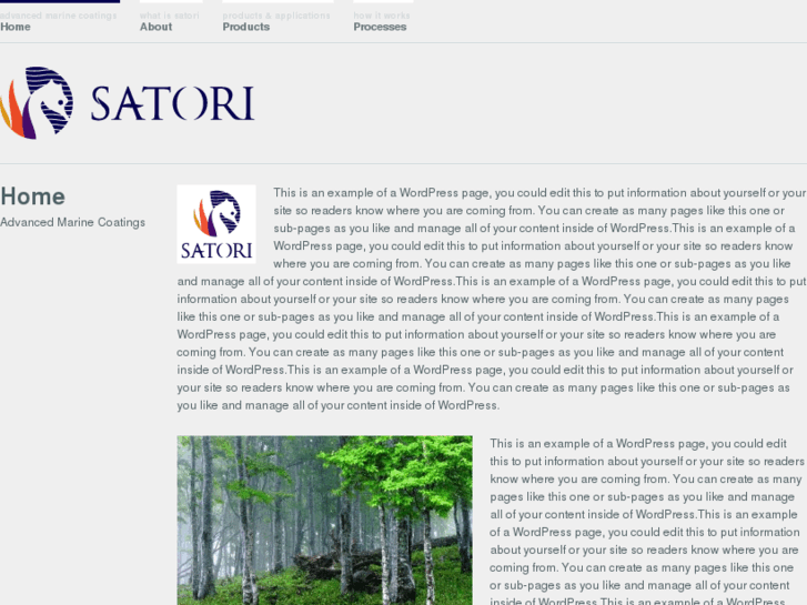 www.thesatoricompany.com