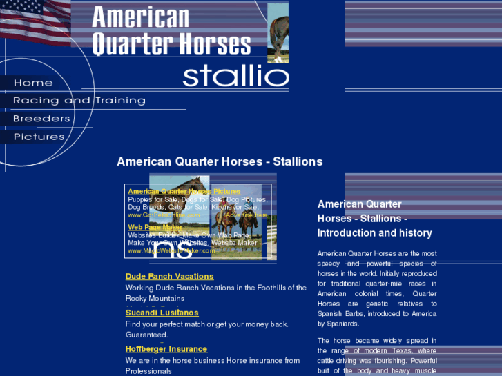 www.american-quarter-horses-stallions.com