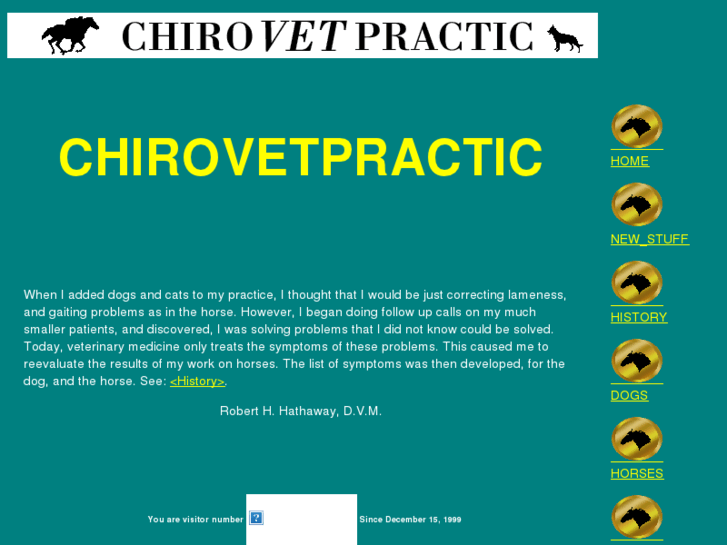 www.chirovetpractic.com