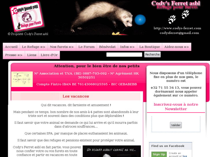 www.codys-ferret.com