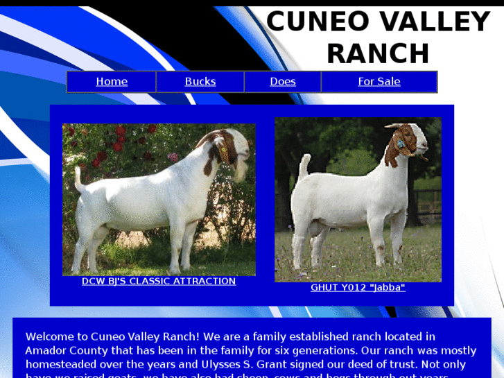 www.cuneovalleyranch.com