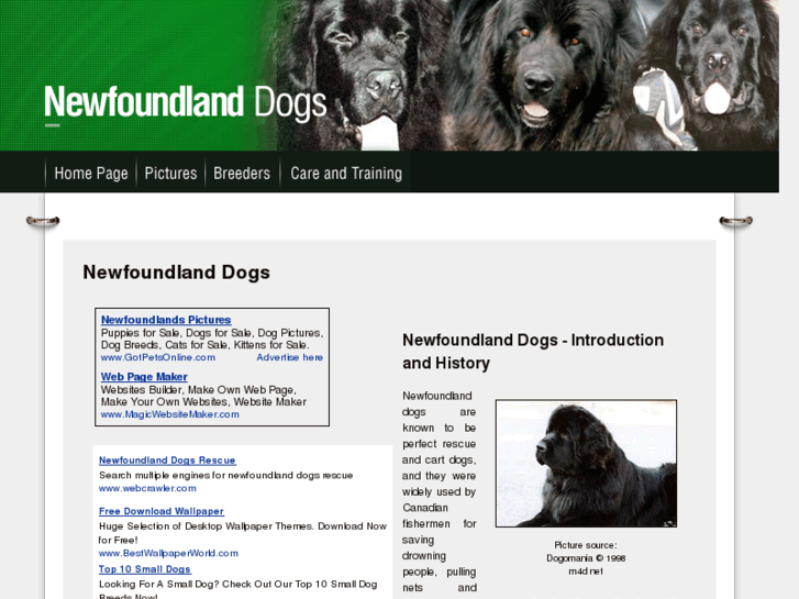 www.newfoundland-dogs.com