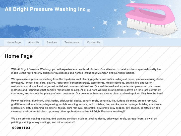 www.thepressurewashingpro.com