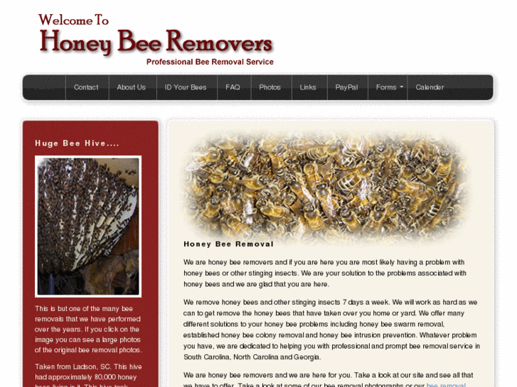 www.honeybeeremovers.com