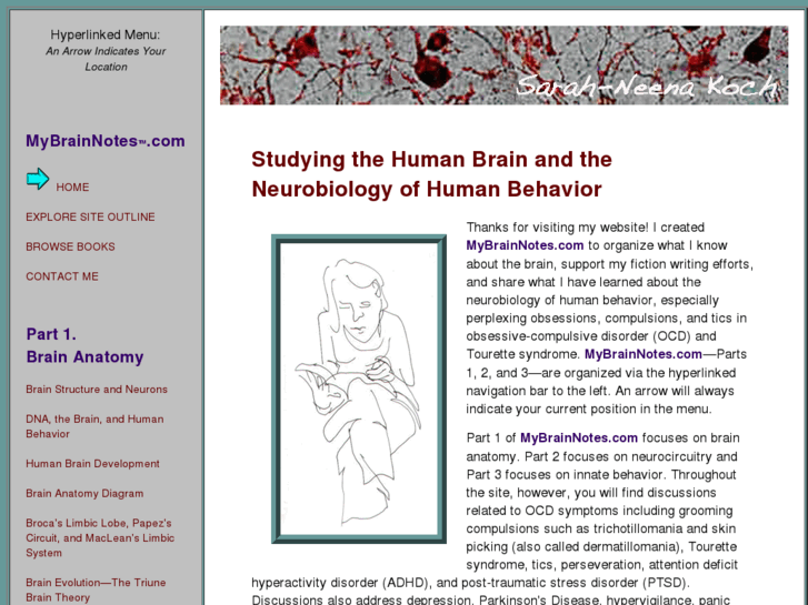 www.mybrainnotes.net